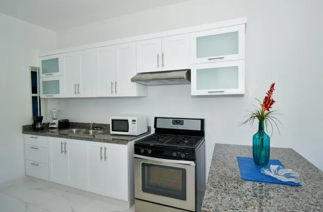 Rosil Place Apartment Kitchen 1